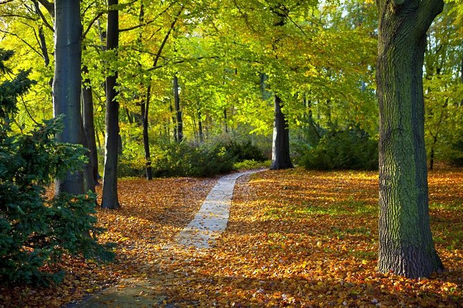 3-Hour Bike Tour of Tiergarten and Berlin's Hidden Places - Why this bike tour sees a different Berlin