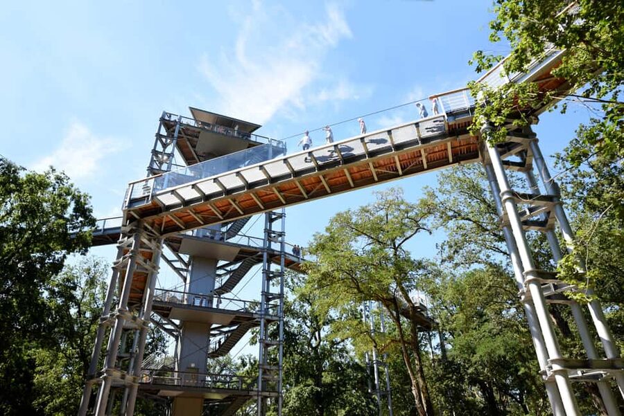 Beelitz-Heilstätten: Baum&Zeit Tree Top Walk Entry Ticket - Walking the 700-meter treetop and time-travel path