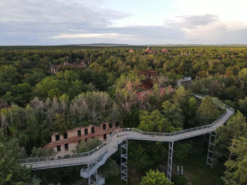 Beelitz-Heilstätten: Baum&Zeit Tree Top Walk Entry Ticket - The Alpenhaus roof and its unusual canopy