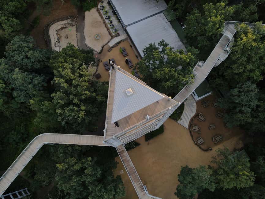 Beelitz-Heilstätten: Baum&Zeit Tree Top Walk Entry Ticket - Reaching the 40-meter observation tower