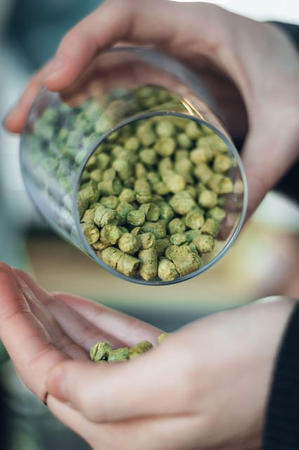 Berlin: BRLO Charlottenburg Tasting Session - Five beers, five chances to compare
