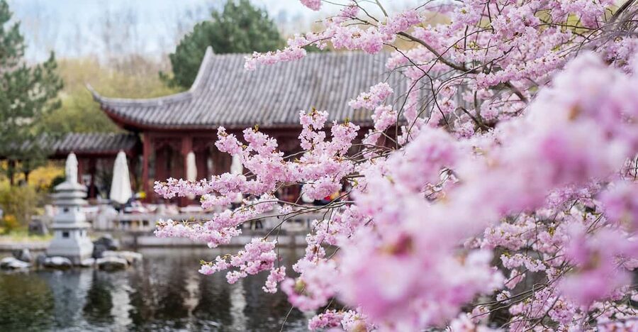 Berlin: Gärten der Welt Guided Tour - Chinese garden traditions and careful design