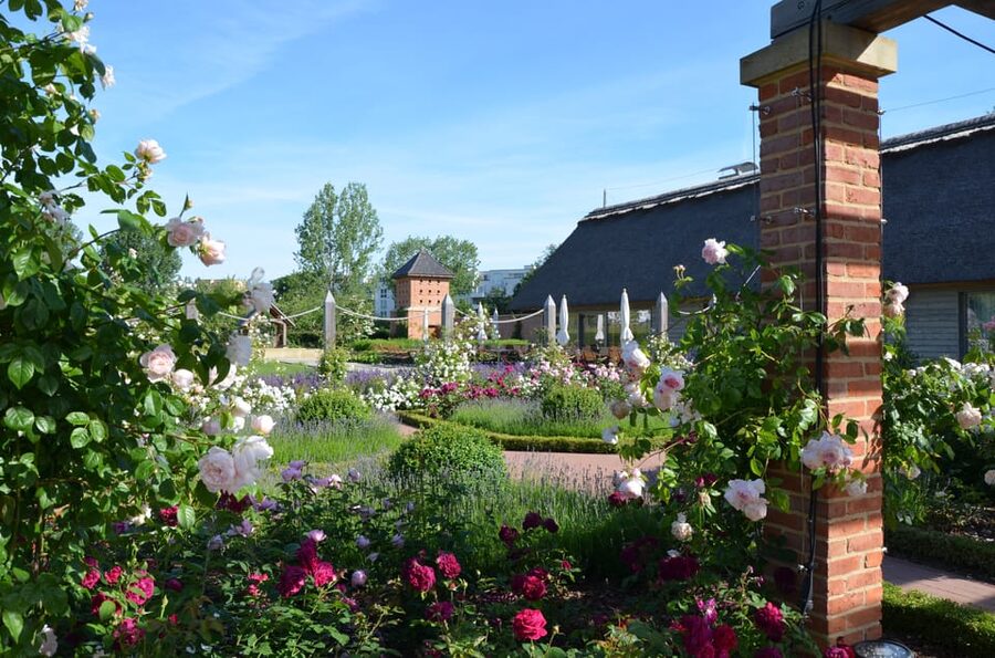 Berlin: Gärten der Welt Guided Tour - Who should book this garden walk?