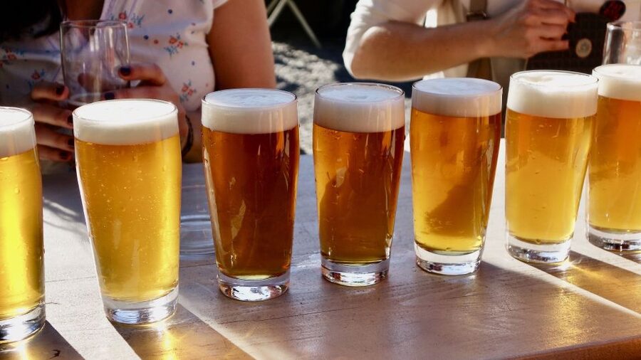 Berlin: Guided Craft Beer & Cultural Tour With Snacks - Walking through East Berlin’s alternative quarter