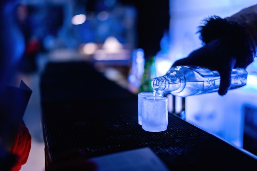 Berlin: Hop-On Hop-Off Bus and Icebar Ticket Combo - Final verdict: book it for variety and easy coverage