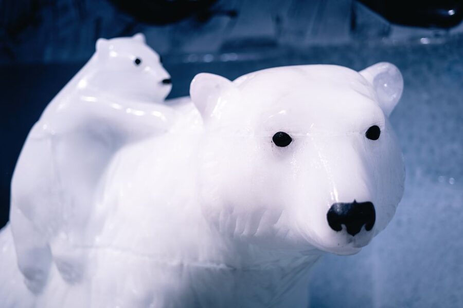Berlin: Icebar Entrance with Complimentary Drinks - Who will enjoy this most?