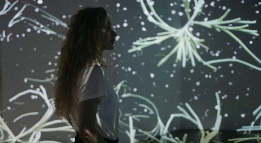 Berlin: Lighthouse of Digital Art Ticket - Who Will Get The Most From It