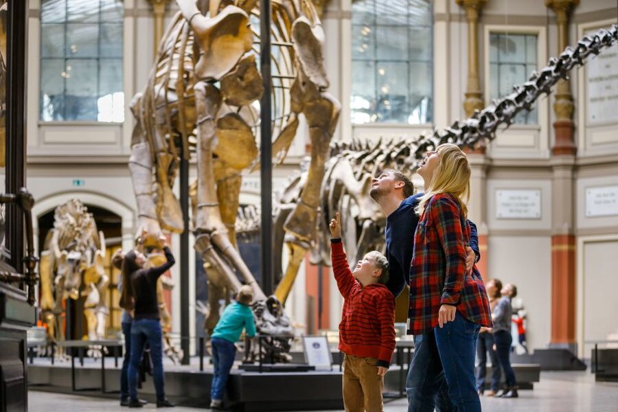 Berlin: Natural History Museum Entrance Ticket - What the $12 ticket really buys you