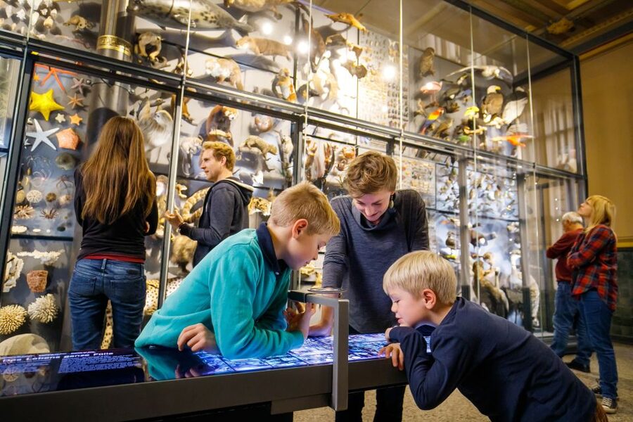Berlin: Natural History Museum Entrance Ticket - The Biodiversity Wall and the cost of extinction