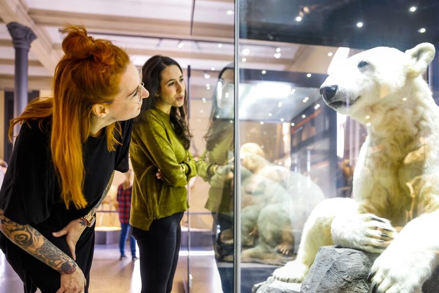 Berlin: Natural History Museum Entrance Ticket - Using the audio content well