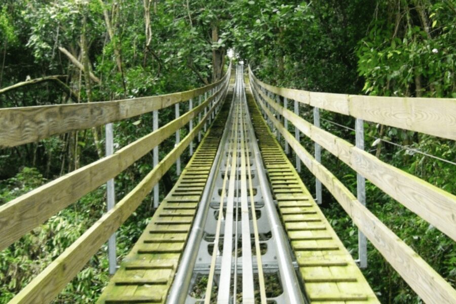 Berlin: Nature Bobsled Run Ticket - Weather and seasonal closures can change your plans