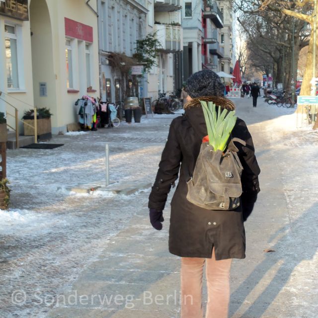 Berlin: Prenzlauer Berg District Guided Walking Tour - Starting near Schönhauser Allee