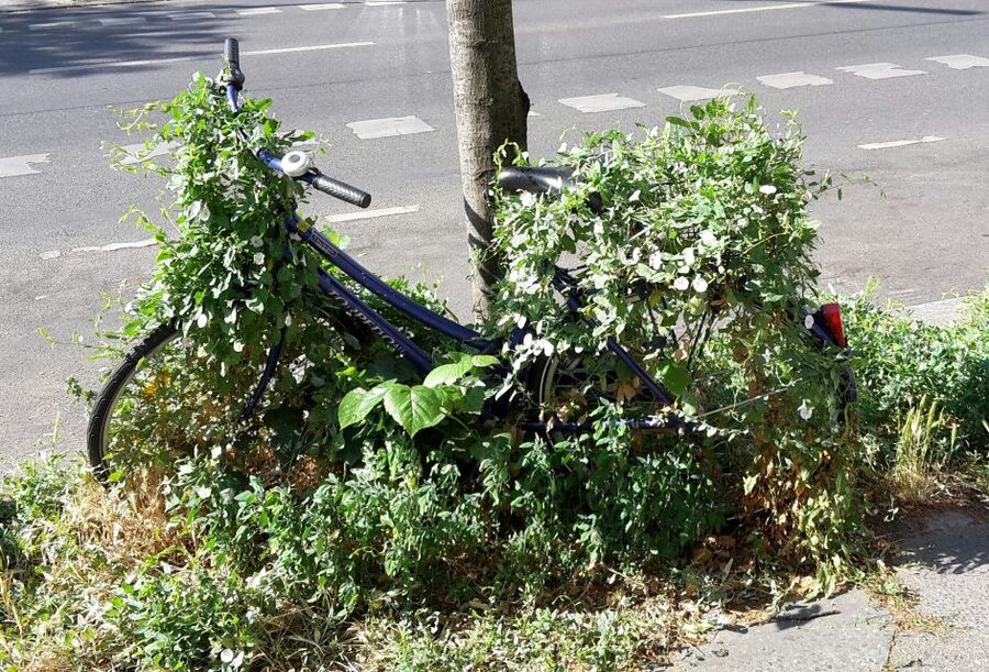 Berlin: Street Art and Alternative Tour - From the 1990s revival to modern gentrification