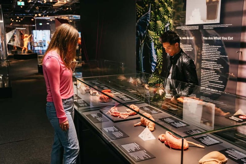 Berlin: Tickets for the BODY WORLDS Museum in Berlin - The digestive system and the body’s hidden work
