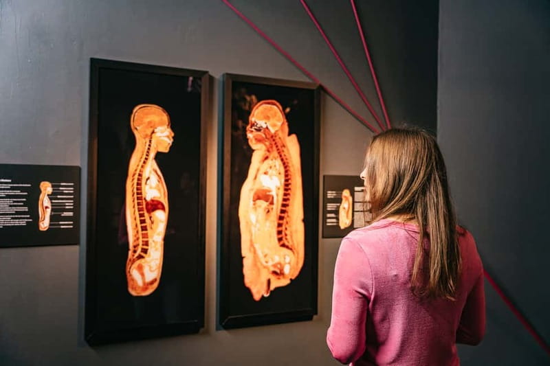 Berlin: Tickets for the BODY WORLDS Museum in Berlin - Stress, happiness, and the question of healthy living