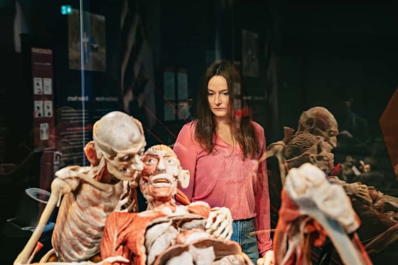 Berlin: Tickets for the BODY WORLDS Museum in Berlin - How long should you spend inside?
