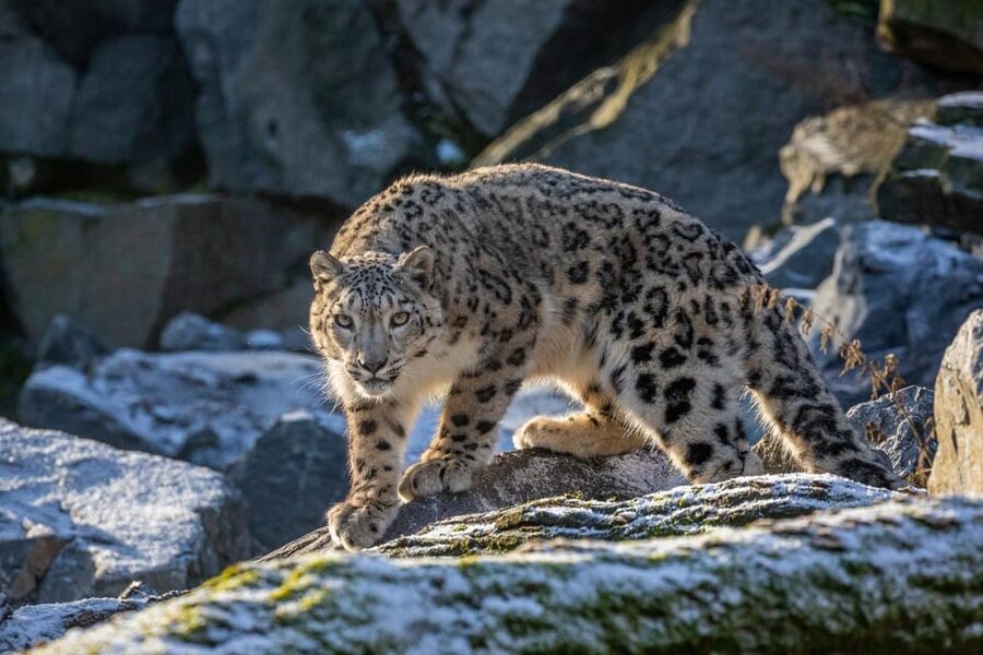 Berlin: Tickets for the Tierpark in East Berlin - How much time should you allow?