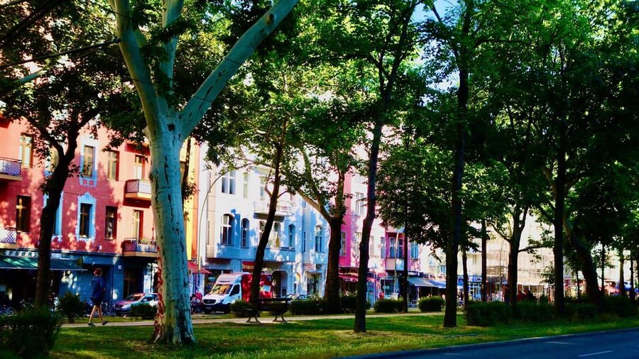 Berlin: Vegan Food & Cultural Walking Tour in Friedrichshain - Practical Details That Matter