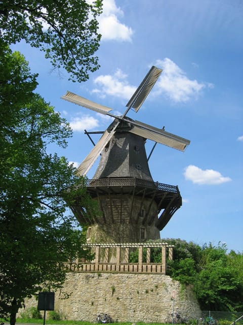 From Berlin: Gardens & Palaces of Potsdam Bike Tour - Key points at a glance