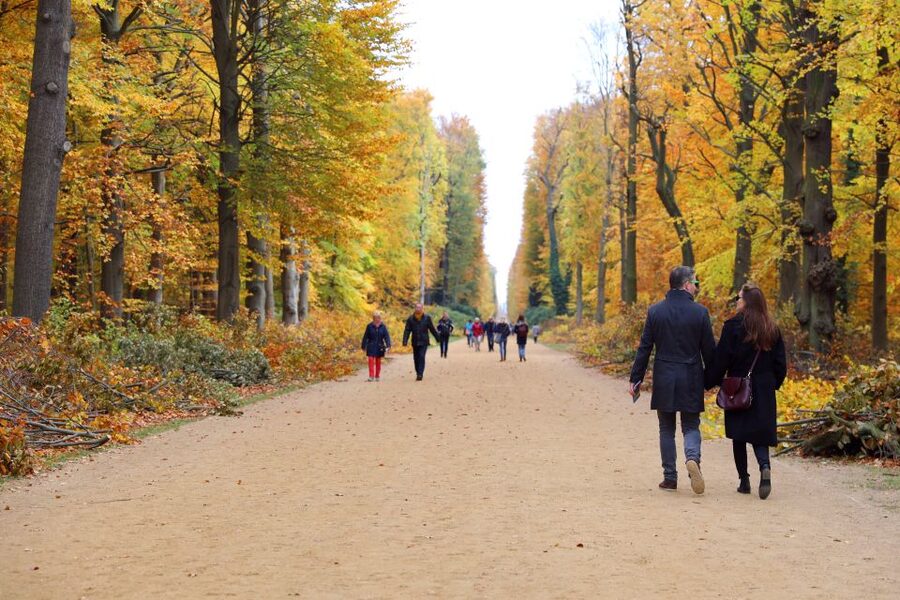 From Berlin: Historical Gems of Potsdam Private Day Trip - A 15-minute bus ride to the New Palace