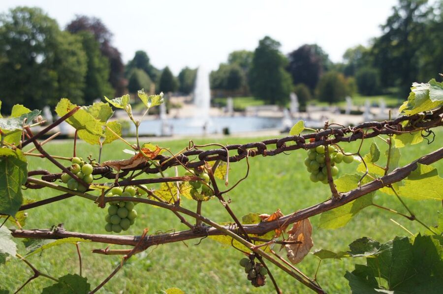 From Berlin: Potsdam Half-Day Tour in Spanish - Key points to know before you go