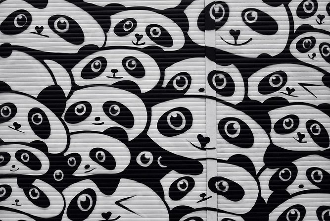 Kreuzberg Private Walking Tour: Immigrants, Artists & Hipsters - Public transport is part of the plan