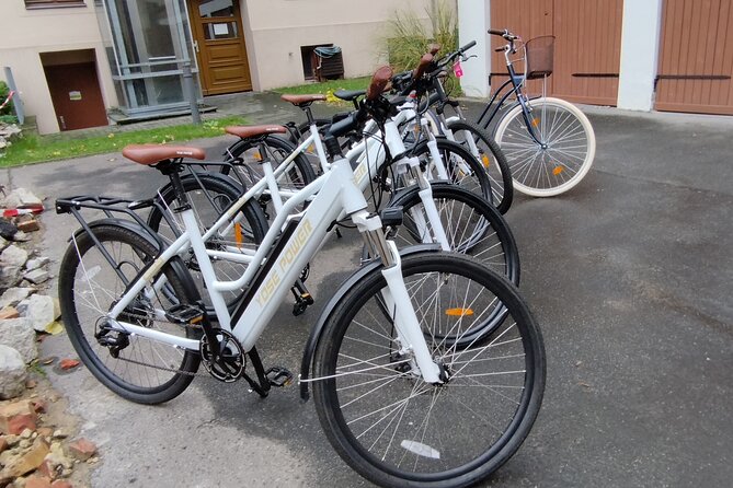 Private Guide Up to Group 6 - ONE Rickshaw, (E)Bikes, E-Scooters - The Holocaust Memorial and Brandenburg Gate