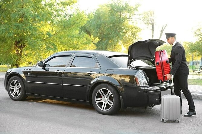 Private One way Airport Transfer Berlin Airport To Berlin - Drivers who made the transfer work well