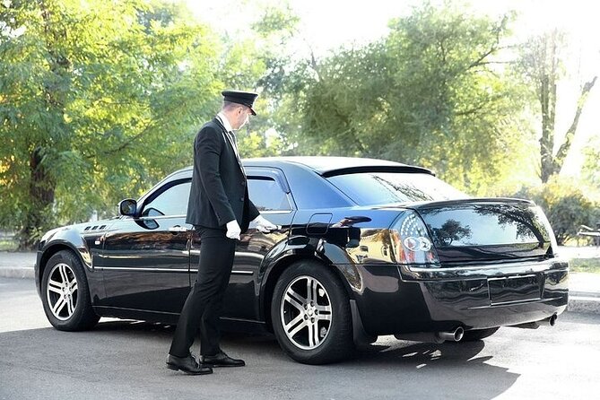Private One way Airport Transfer Berlin Airport To Berlin - Who should book this private transfer