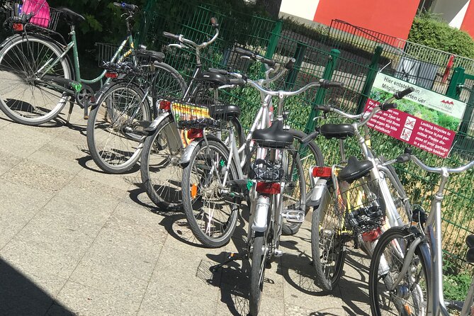 Small-Group Historical Bike Tour in Berlin - Bernauer Strasse and the Berlin Wall Memorial